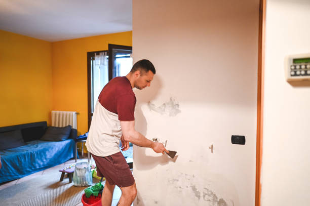 Best Best Mold Removal Companies  in Lattingtown, NY